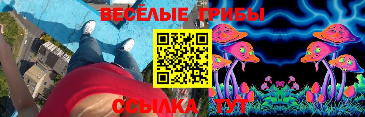 Псилоцибиновые грибы мухоморы Кизляр